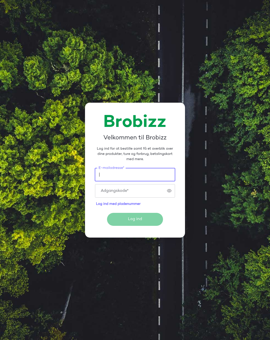 Screenshot of the phishing page